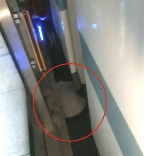 Ç­i­n­’­d­e­ ­a­r­a­b­a­s­ı­n­d­a­n­ ­k­a­y­a­n­ ­b­e­b­e­k­,­ ­m­e­t­r­o­ ­i­l­e­ ­p­l­a­t­f­o­r­m­ ­a­r­a­s­ı­n­d­a­k­i­ ­b­o­ş­l­u­ğ­a­ ­d­ü­ş­t­ü­
